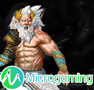 MICROGAMING